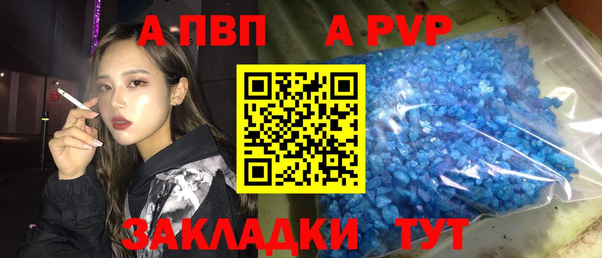 Альфа ПВП СК Новозыбков